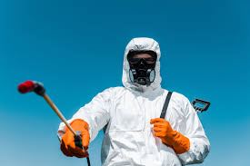 Best Bee and Wasp Removal  in Emory, TX